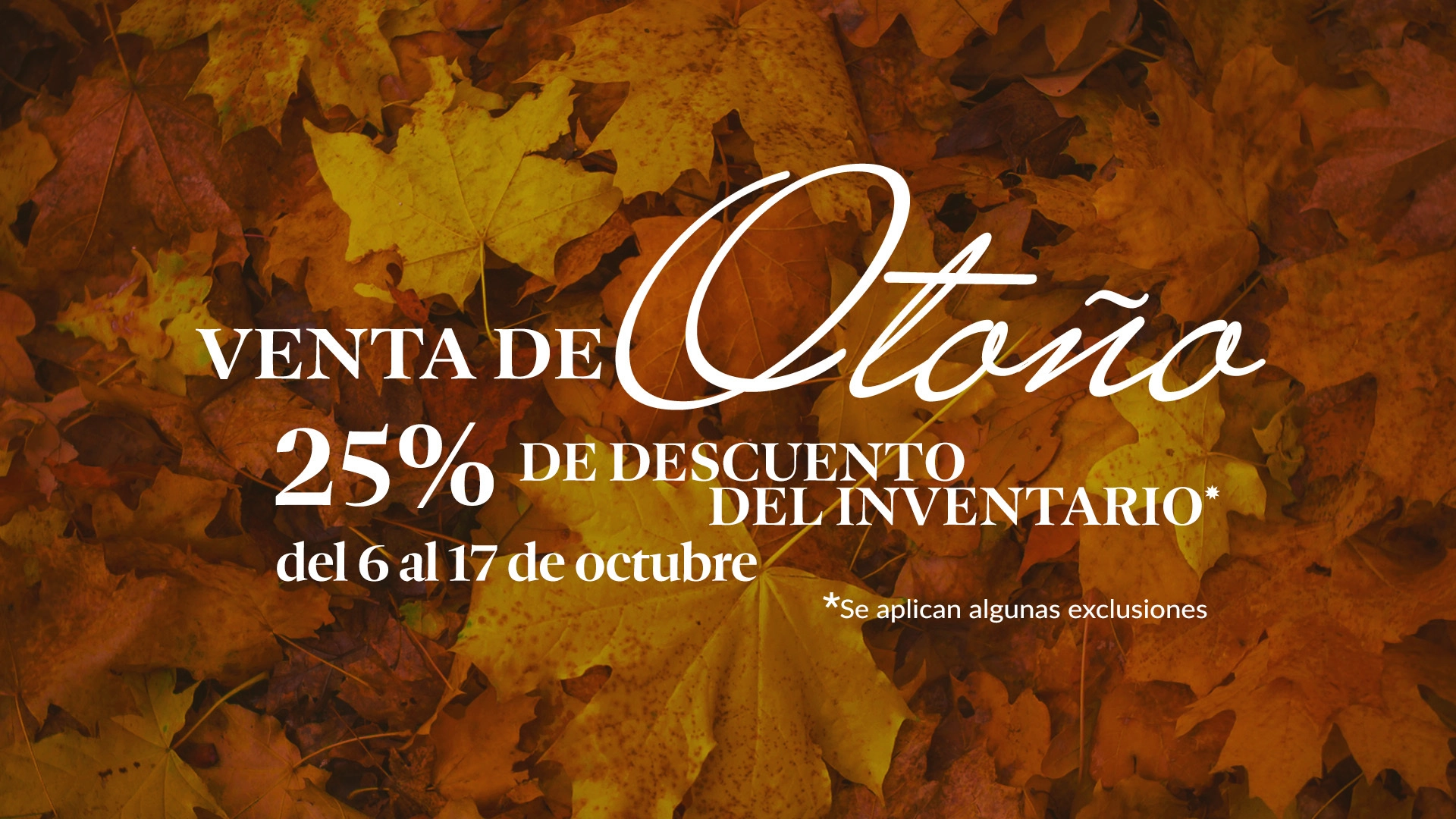 Gracia a Vosotros - Expositores Sale